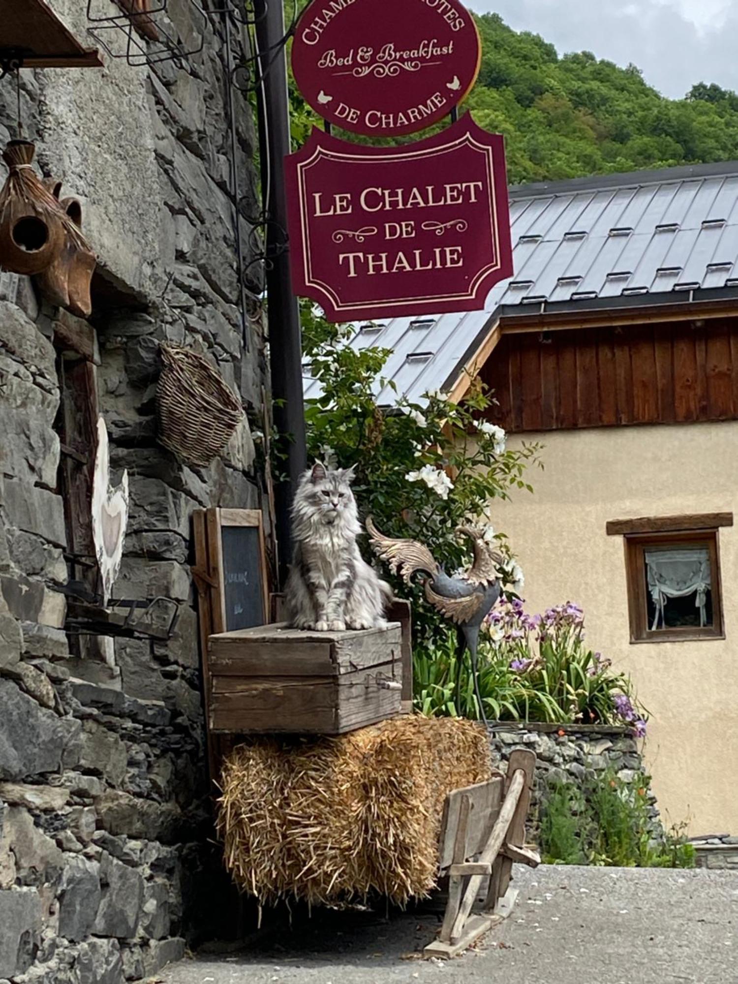 Le Chalet De Thalie Bourg-Saint-Maurice Extérieur photo